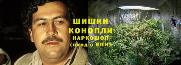 твердый Алзамай