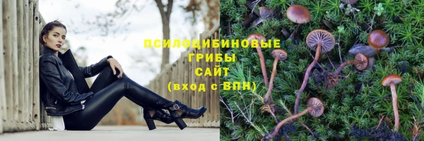 мет Алексеевка