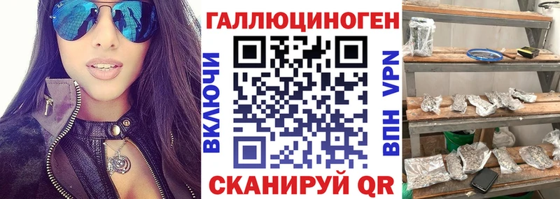 где можно купить   Краснотурьинск  Галлюциногенные грибы MAGIC MUSHROOMS 