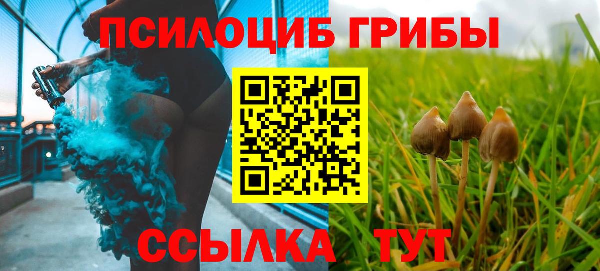 Псилоцибиновые грибы мухоморы  Галлюциногенные грибы Psilocybine cubensis  Краснотурьинск  Вход с VPN 