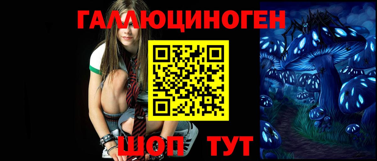 Псилоцибиновые грибы Psilocybine cubensis Краснотурьинск