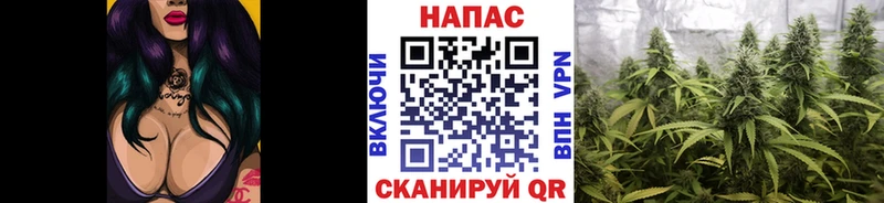Каннабис Bruce Banner  Краснотурьинск 
